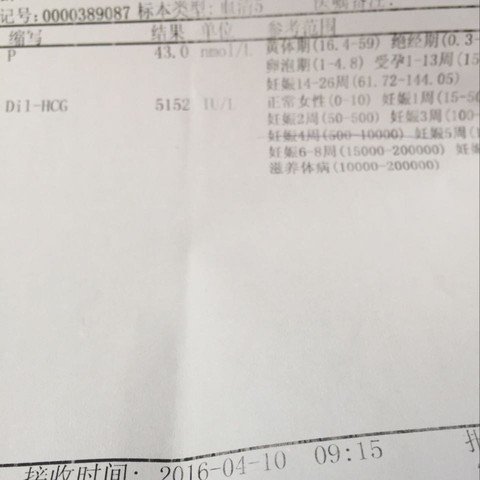 journal_insert_pic_449673619