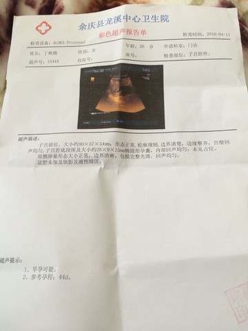 journal_insert_pic_450045829