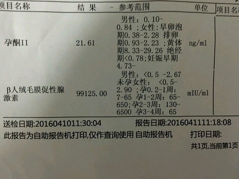 journal_insert_pic_451149104