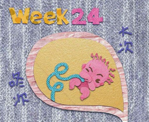journal_insert_pic_452056894