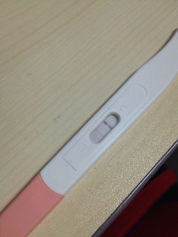 journal_insert_pic_451383478