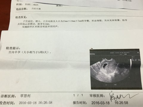journal_insert_pic_452452203