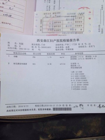 journal_insert_pic_452656741