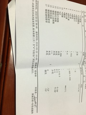 journal_insert_pic_452452216
