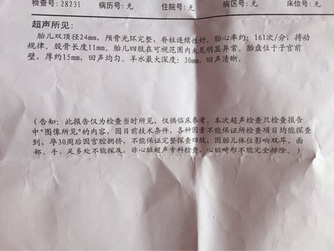 journal_insert_pic_453133658