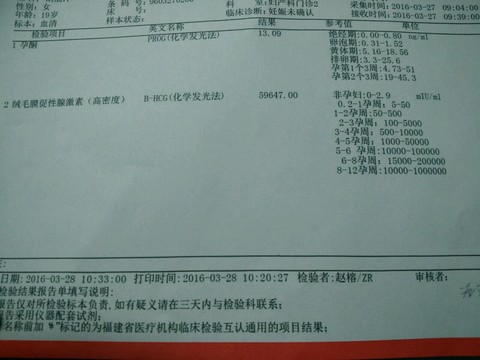 journal_insert_pic_453473777