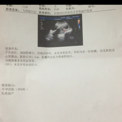 journal_insert_pic_454516634
