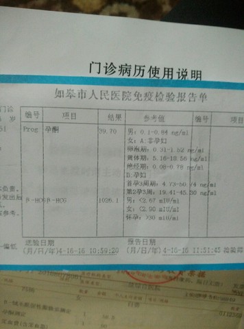 journal_insert_pic_454321789