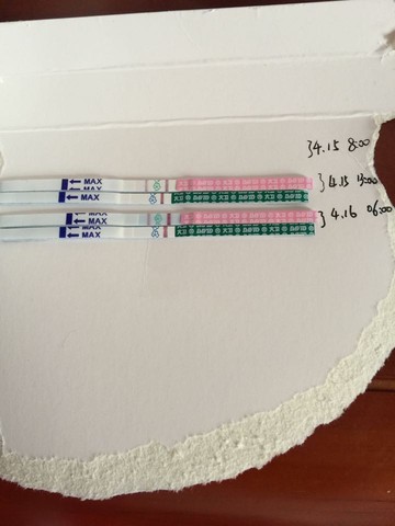journal_insert_pic_454025777