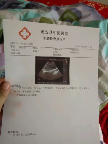 journal_insert_pic_455940903