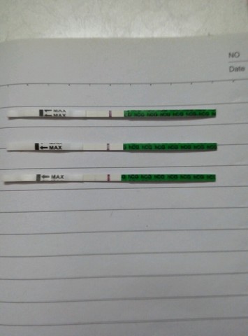 journal_insert_pic_455721567
