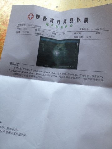 journal_insert_pic_456083785