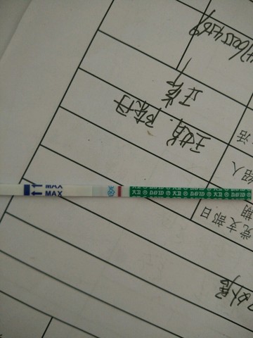 journal_insert_pic_455656816