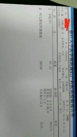 journal_insert_pic_457701338