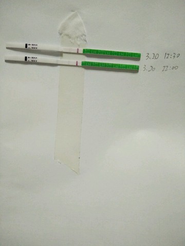 journal_insert_pic_457899033
