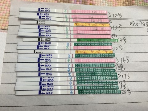 journal_insert_pic_457873163