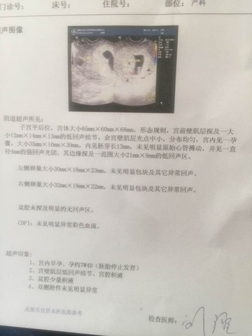 journal_insert_pic_458716056
