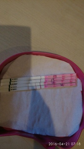 journal_insert_pic_458484995