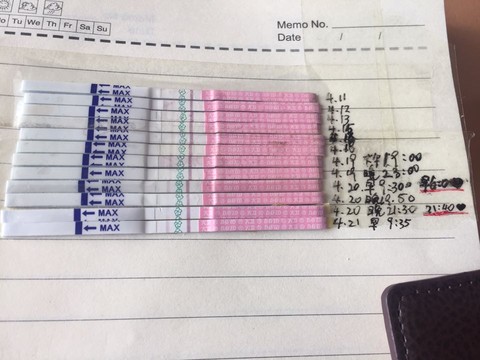 journal_insert_pic_458144008