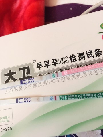 journal_insert_pic_458401362