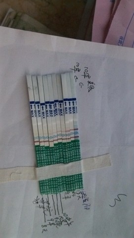 journal_insert_pic_459042401