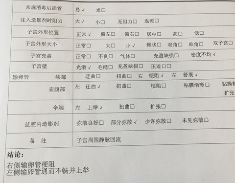 journal_insert_pic_459435089