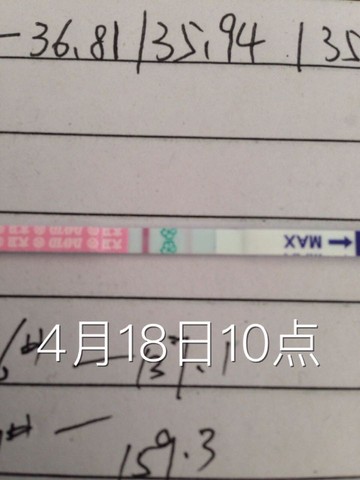 journal_insert_pic_460428875
