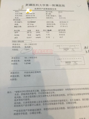 journal_insert_pic_460601106