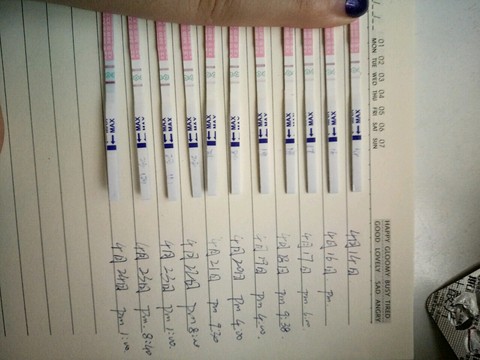 journal_insert_pic_460628877