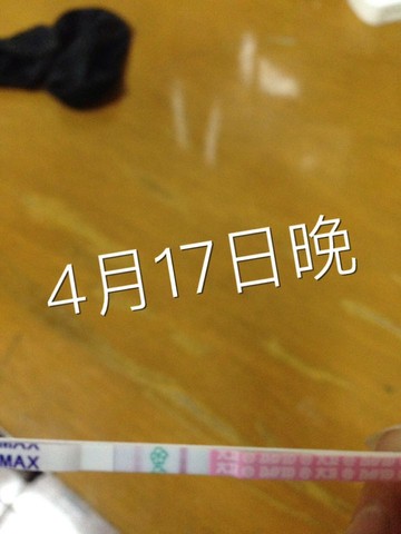 journal_insert_pic_460428866