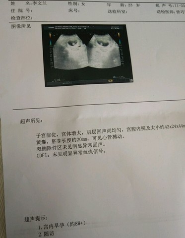journal_insert_pic_461738808