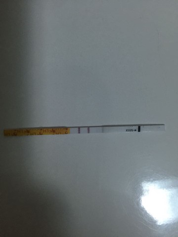 journal_insert_pic_461847290
