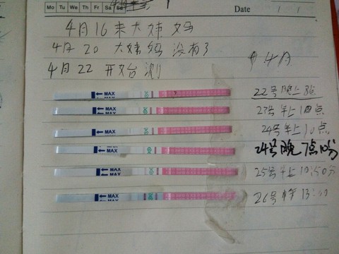 journal_insert_pic_462372227