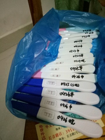 journal_insert_pic_462768110