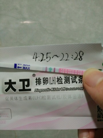 journal_insert_pic_462152617