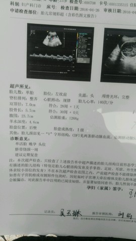 journal_insert_pic_462451080