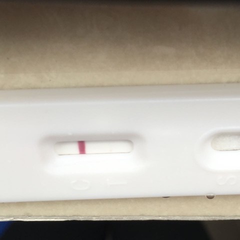 journal_insert_pic_463214070