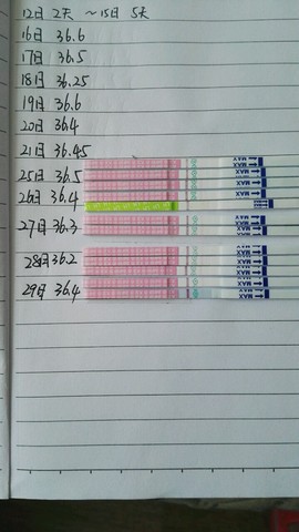 journal_insert_pic_464882164