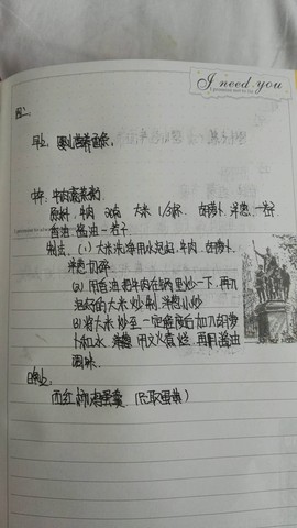 journal_insert_pic_466707806