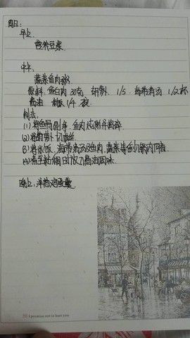 journal_insert_pic_466708132
