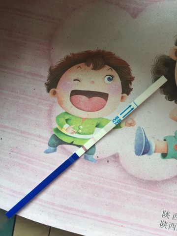 journal_insert_pic_467424053