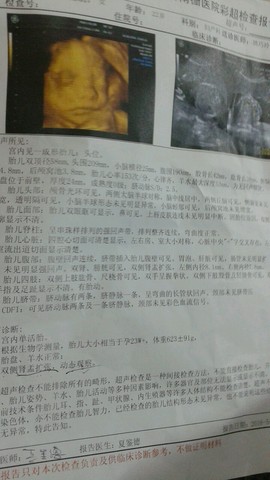 journal_insert_pic_467816835