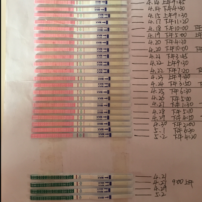 journal_insert_pic_467454428