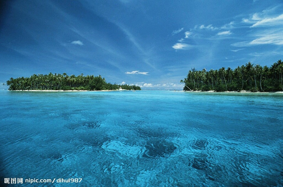 123456678890的个人中心 - babytree 宝宝树