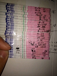 journal_insert_pic_468890600