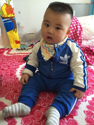 journal_insert_pic_469469266