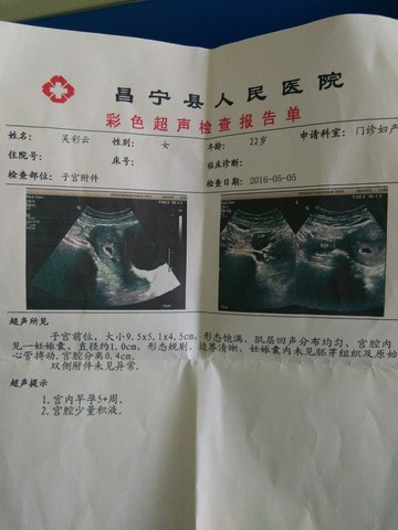 journal_insert_pic_470129477
