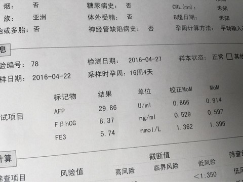 journal_insert_pic_470446269