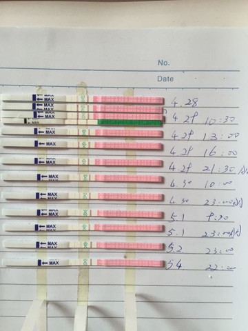 journal_insert_pic_470157771