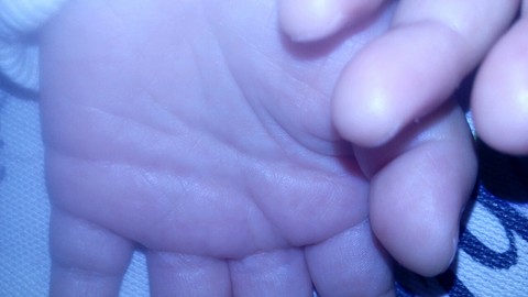 journal_insert_pic_471373005